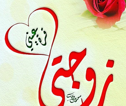 كتاب زوجتي محمد طحنون