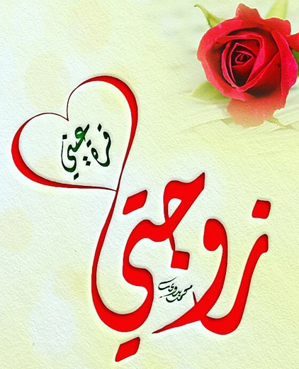 كتاب زوجتي محمد طحنون