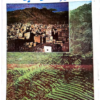 كتاب شعر الغناء الصنعاني