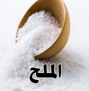 كتاب الملح